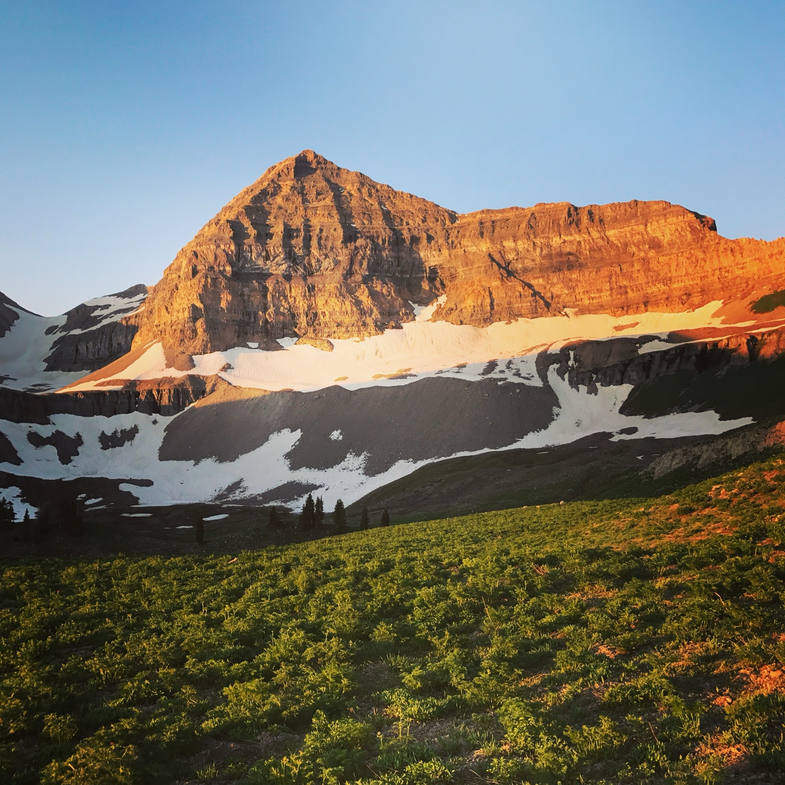 Mount Timpanogos at golden hour